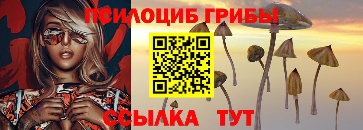 Псилоцибиновые грибы Cubensis  Вход с VPN  Псилоцибиновые грибы Psilocybe  Мыски 