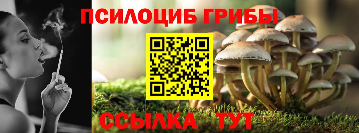 Галлюциногенные грибы Psilocybe Мыски